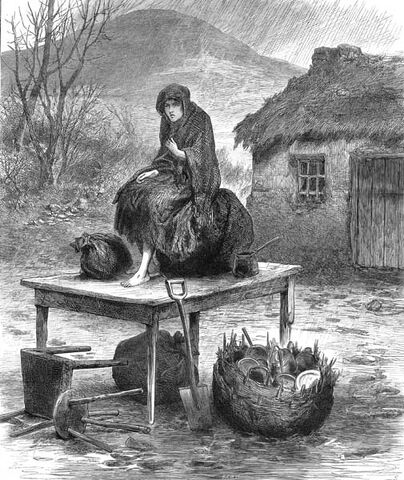 File:Byrne evicted woman 1886-4-17.jpg