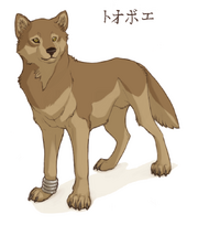 Luca