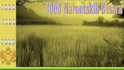 1000NAD