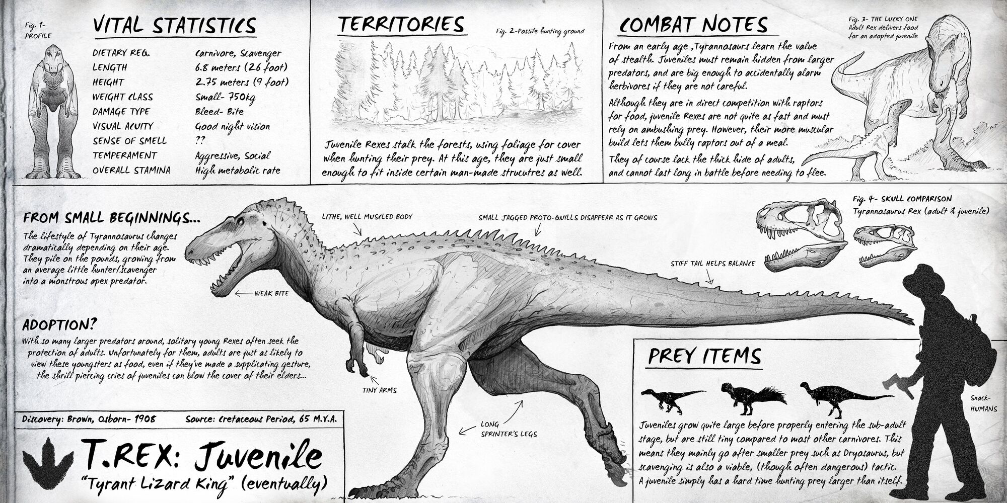 list of tyrannosaurus