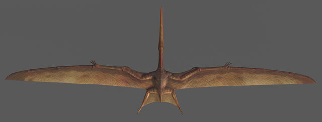 File:Default Pteranodon The Isle.jpg