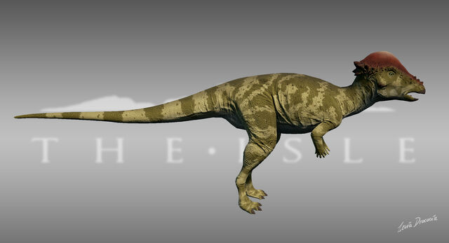 File:Pachycephalosaurus Aracea Skin The Isle.jpg