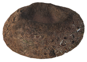 Empty Nest The Isle