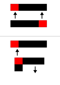 250px-Leuctra.svg