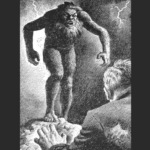 File:Wildman of Ohio.jpg
