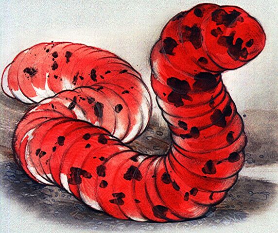 File:Death worm.jpg