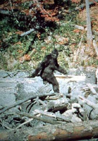 File:Bigfoot 2.jpg