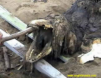 Creature 1