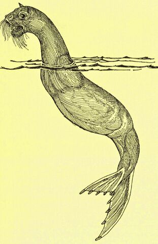 File:Steller's Sea-Ape, Craig Gosling.jpg