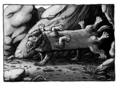 Image114