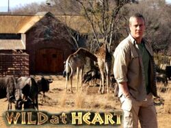 Wild at heart