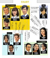 Legalhigh2-chart