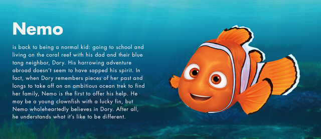 File:Nemo information.jpg
