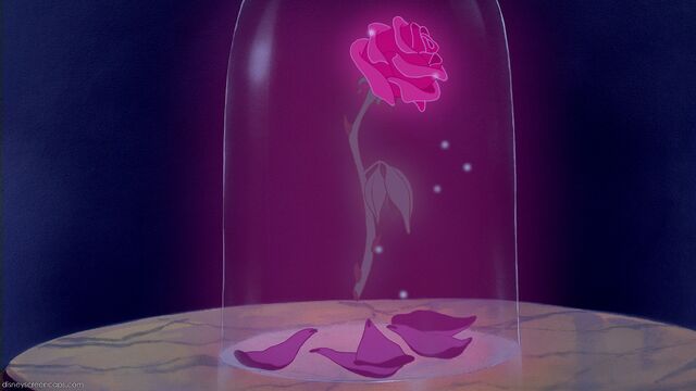 File:The Enchanted Rose.jpg