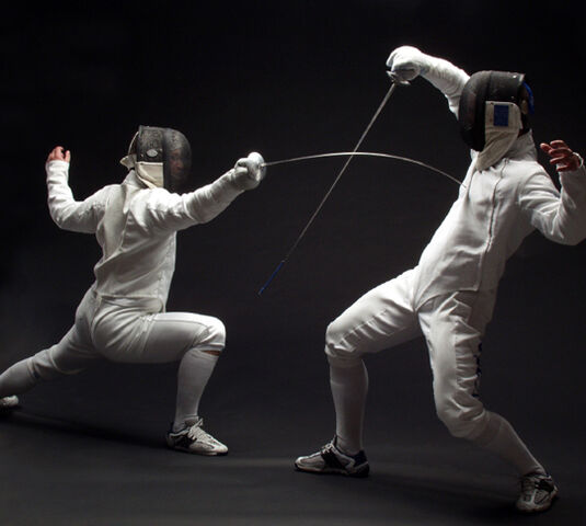File:Fencing.jpg