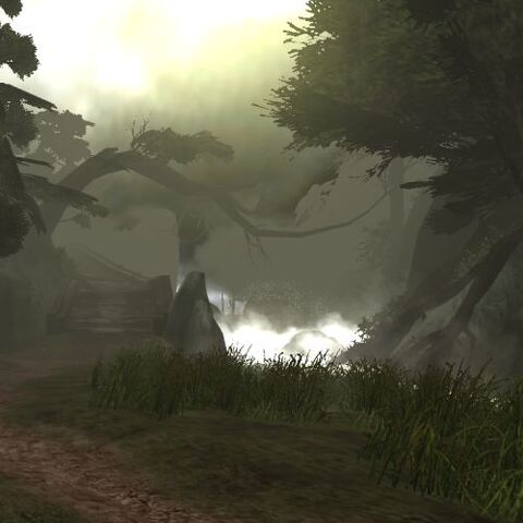 File:GreatSouthernForest2.jpg