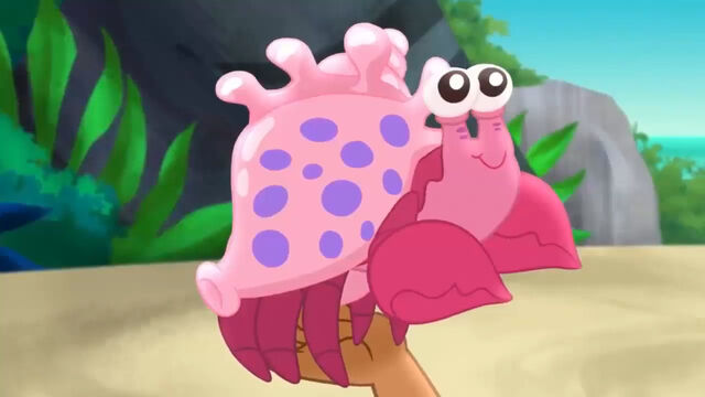 File:Snappy the hermit crab.jpg
