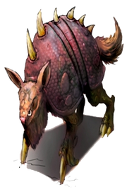 Armadillo-1-