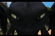 O.O