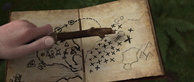 How-to-train-1284
