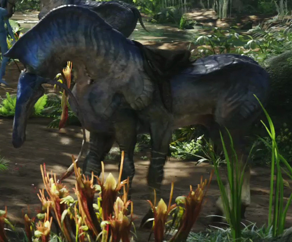 Bestand:Direhorse.png