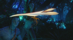 Lézard éventail 2.png