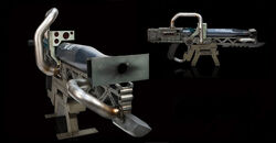 Gau90111.jpg