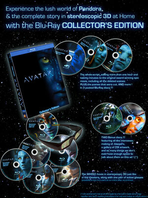 DVD release.jpg