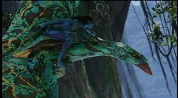 Ikran flight 2.jpg