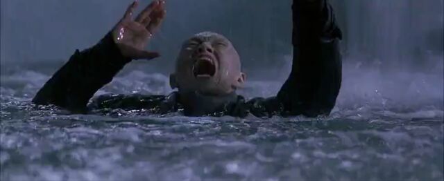 File:ZaoScreams.jpg