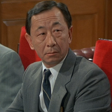 File:Tan - Profile.png