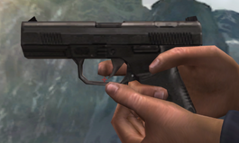Wolfram P2K (Agent Under Fire) 1