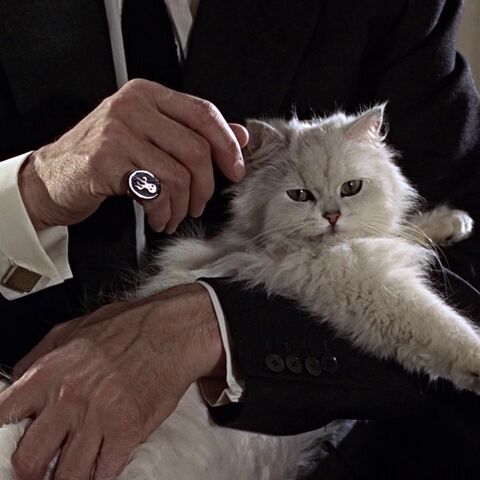 File:Blofeld (Dawson-Pohlmann) - Profile.jpg