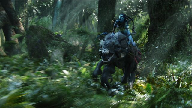 File:Neytiri Riding.jpg
