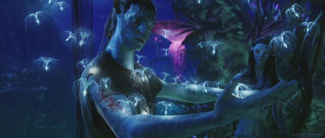 File:James-Camerons-Avatar-30.jpg