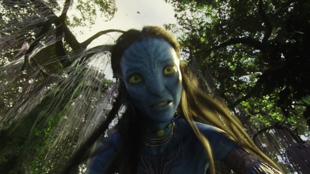 File:Avatar br 1545 20100520 1639431409.jpg