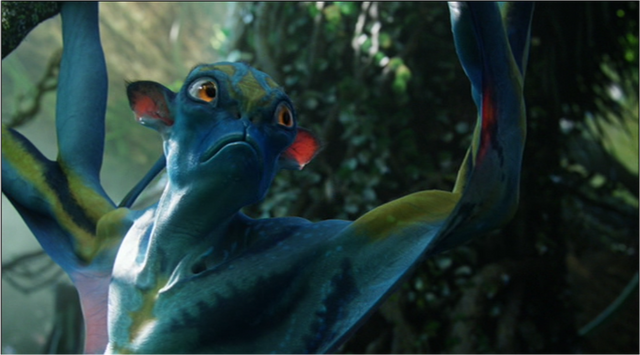 File:Prolemuris.png