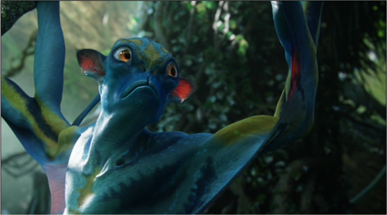 Image - Prolemuris.png | Avatar Wiki | FANDOM powered by Wikia