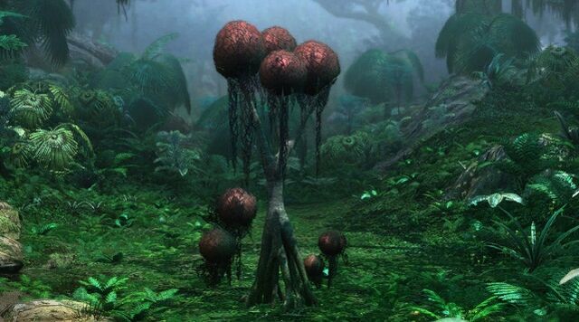 File:Puffball Tree.jpg