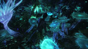 Biolumineszenz2.jpg