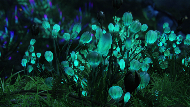 File:Pandora bioluminescent.png