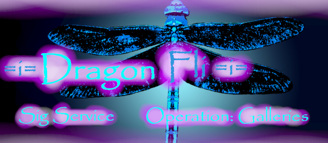 File:Dragonfli Banner.png
