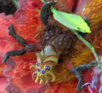 File:Spidery Creature.png