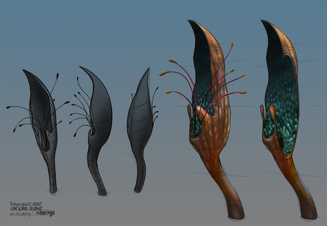 File:Cat Ear Plant.png