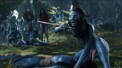 Neytiri3.jpg