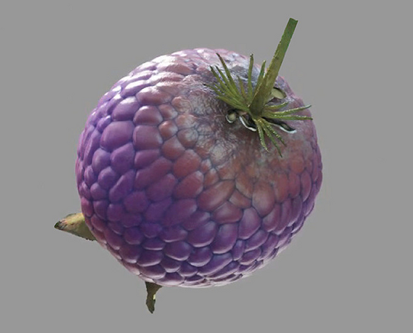 File:Yovo-Fruit.png