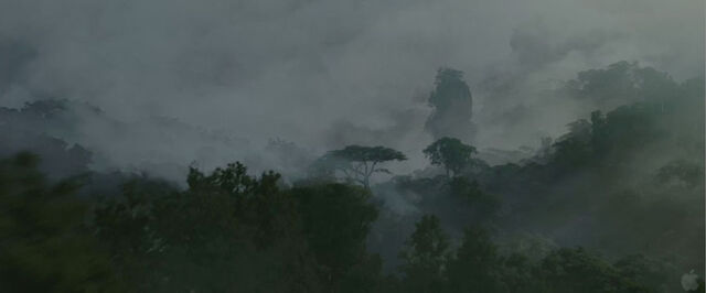 File:Capture004.jpg