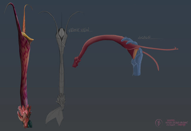 File:Pitcher Plant Concept.jpg