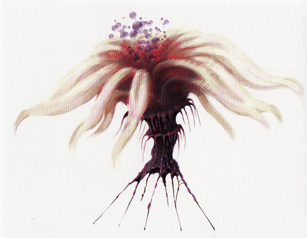 File:IMG 0020.jpg