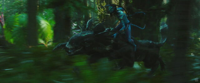 File:Special Edition Trailer 01.jpg.jpg